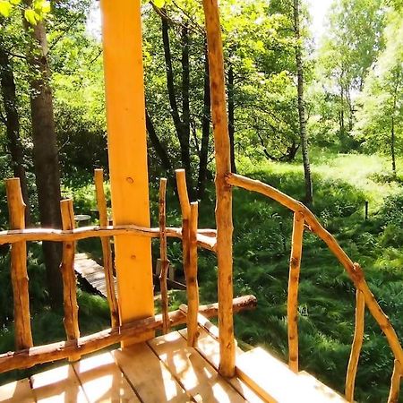 Treehouse Lea Apartman Mikulášovice Kültér fotó