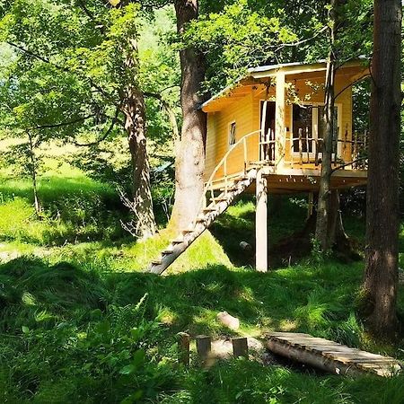 Treehouse Lea Apartman Mikulášovice Kültér fotó