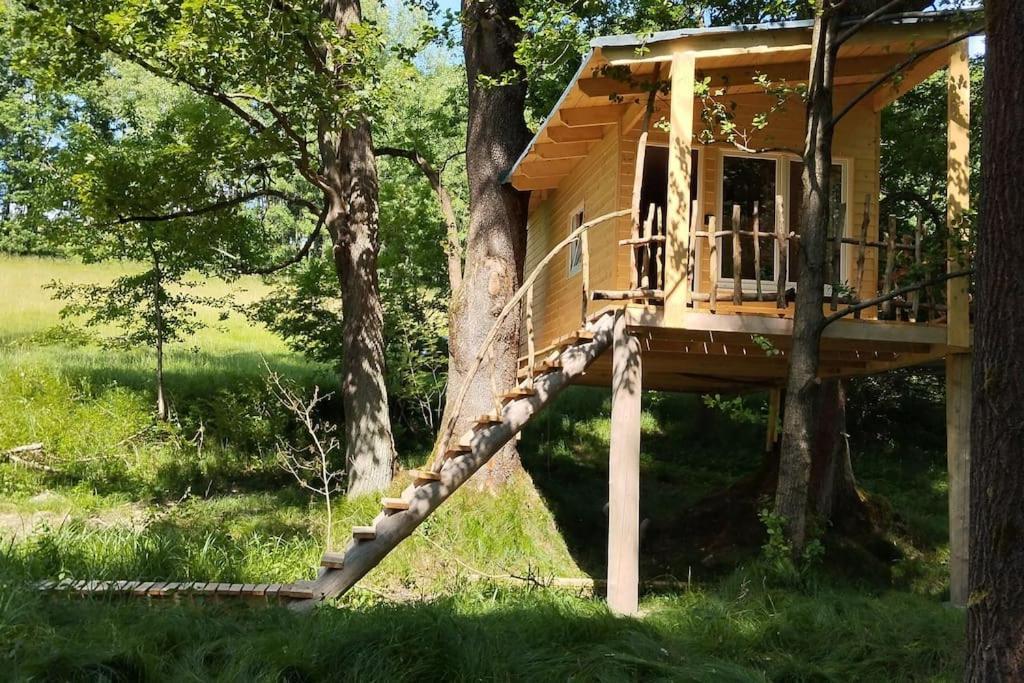 Treehouse Lea Apartman Mikulášovice Kültér fotó